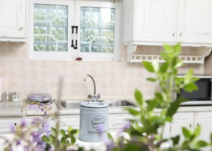 Alexia\'S Home Menta